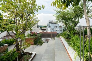 Thiết kế sân thượng xanh mát tạo không gian xanh cho căn nhà