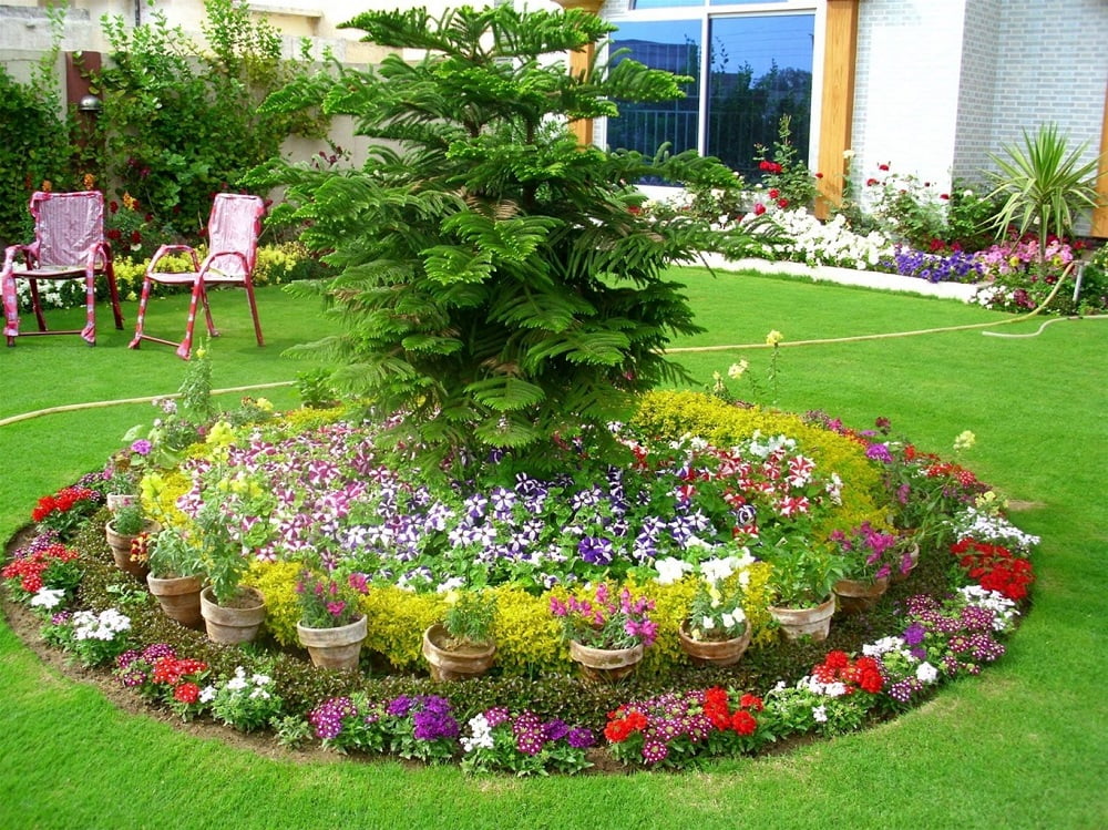 Lựa chọn cây phong thủy sân vườn tốt cho gia chủ